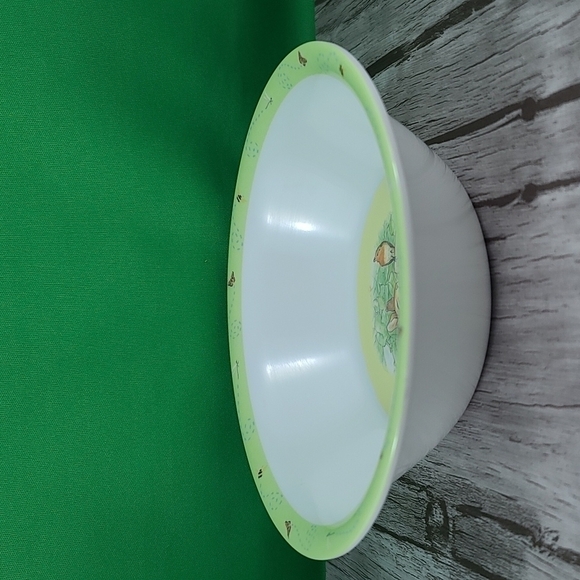 𝅺KIDS The World of Beatrix Potter Melamine Bowl - Picture 2 of 8